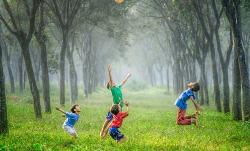 Guide familial: les activités à Collioure avec enfants